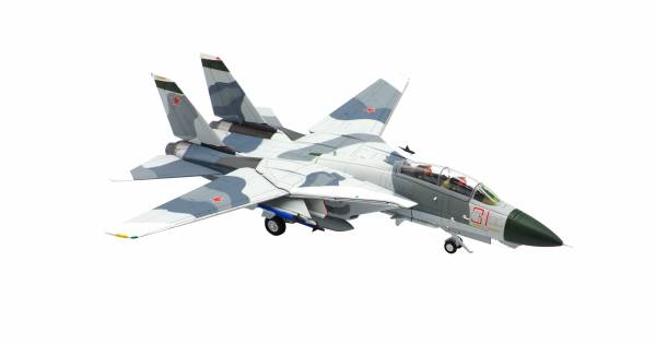 F-14A VF-126 Red 31 'Tomcatsky' BuNo 159855